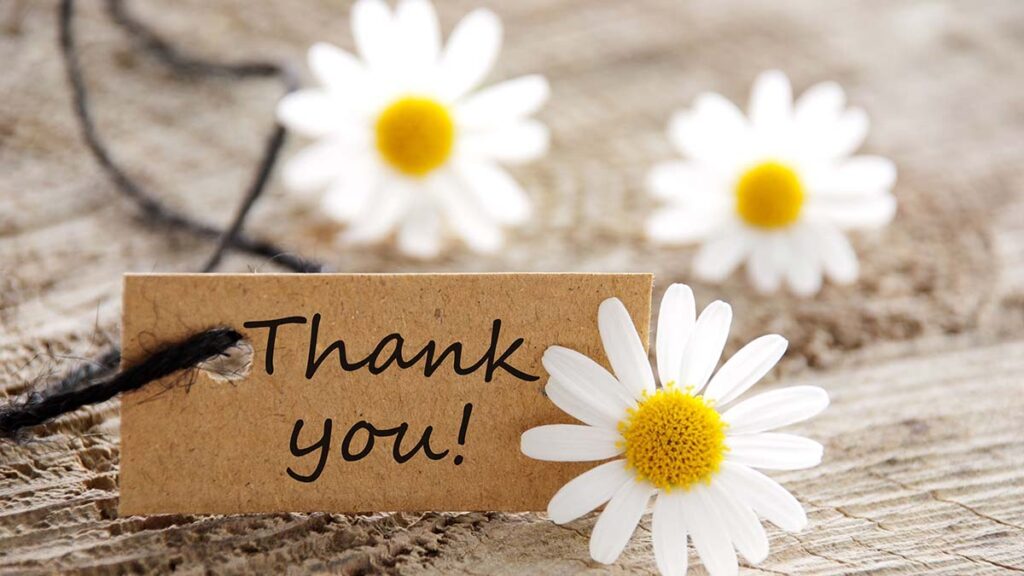 Daisies with a Thank You! card
