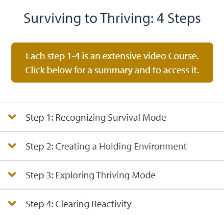 List of the 4 steps in moving from Surviving to Thriving