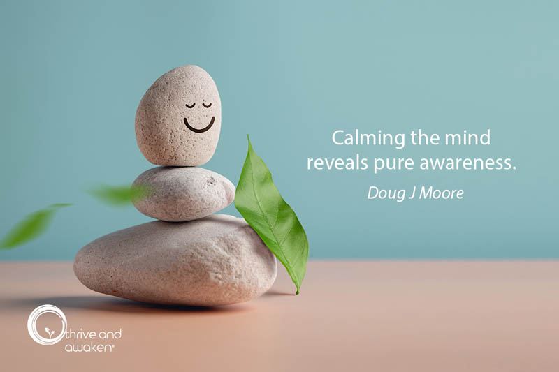 3 stones piled on top of each other, a smiley face on the top one. A quote from Doug: Calming the mind reveals pure awareness