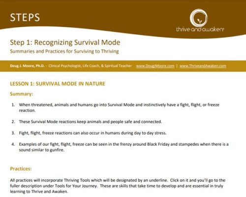 Sample of Summaries and Practices form